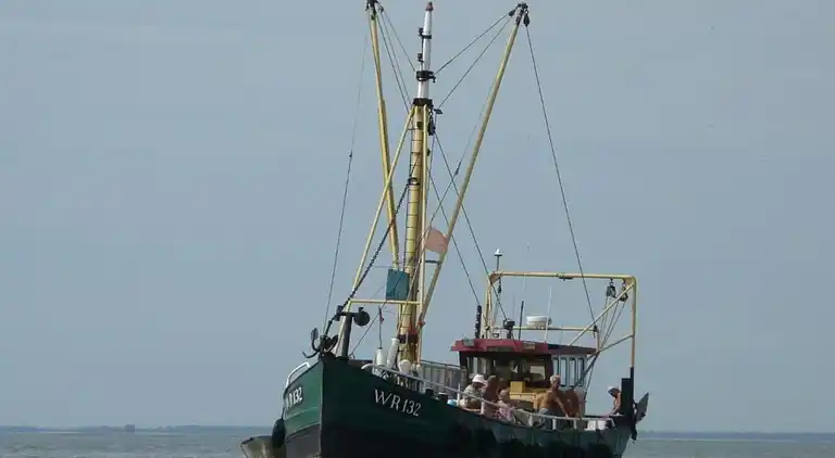 Villa in Hippolytushoef