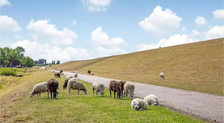 Villa in Hippolytushoef