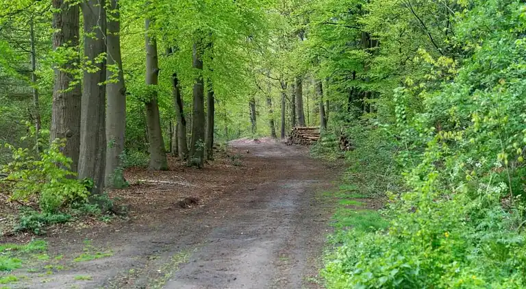 Vakantiehuis in Voorthuizen