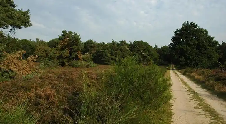 Vakantiehuis in Voorthuizen