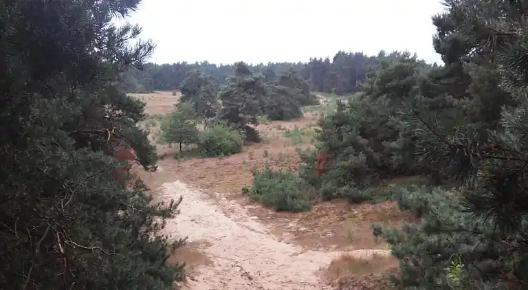 Vakantiehuis in Voorthuizen