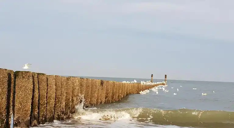 Ferienhaus in Oostkapelle