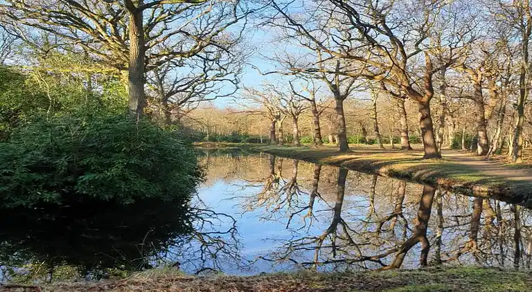 Ferienhaus in Oostkapelle