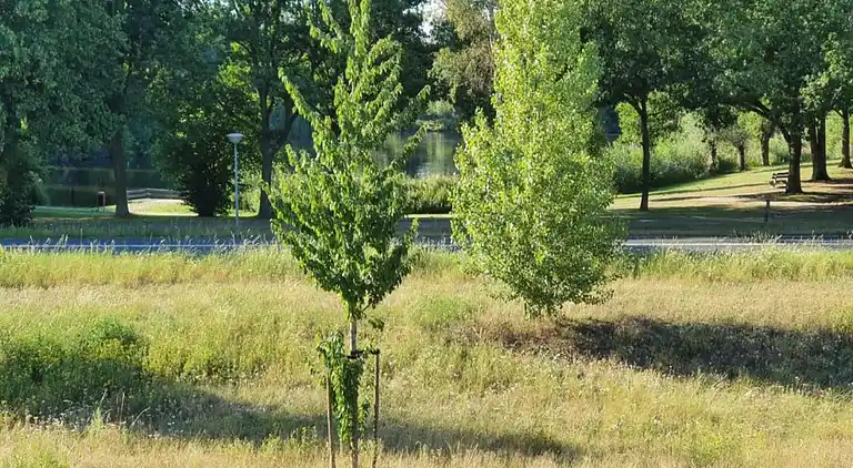 Maison de vacances au Holten