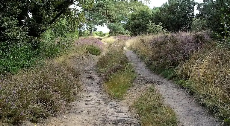 Vakantiehuis in Hellendoorn