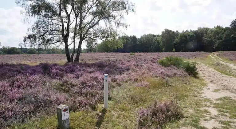 Holiday home in Hellendoorn