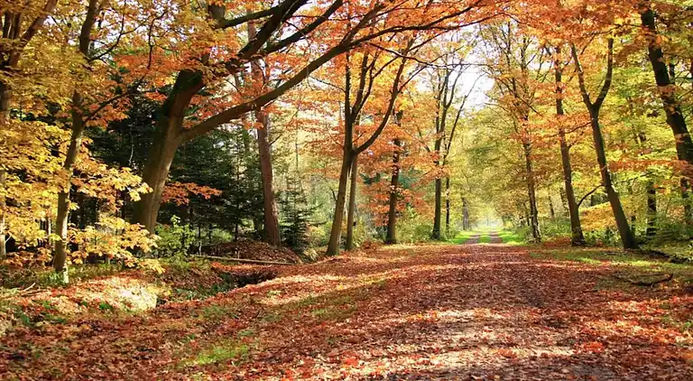 Maison de vacances au Holten