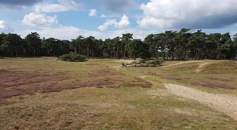 Villa in Hellendoorn