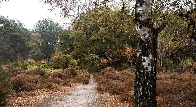 Villa in Hellendoorn