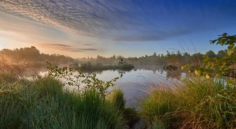 Holiday home in Haaksbergen