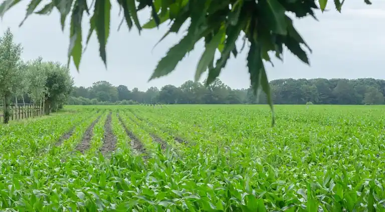 Lägenhet i Haaksbergen