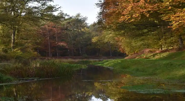 Lägenhet i Haaksbergen