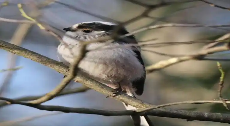 Lägenhet i Haaksbergen