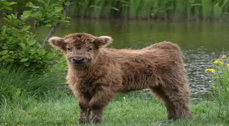 Holiday home in Haaksbergen