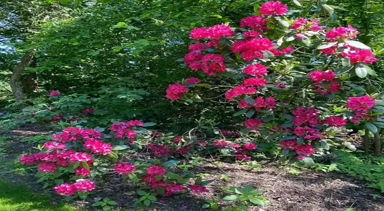 Lägenhet i Haaksbergen