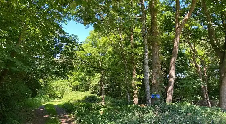 Holiday home in Haaksbergen