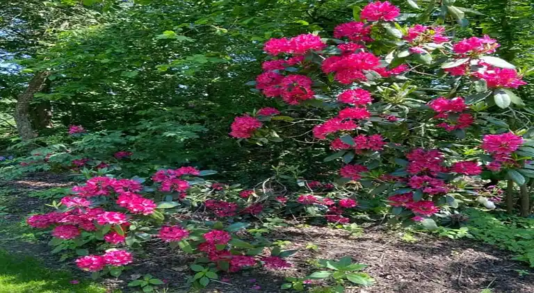 Holiday home in Haaksbergen