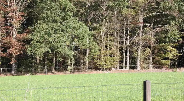 Holiday home in Haaksbergen