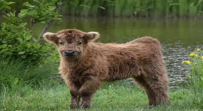 Lägenhet i Haaksbergen
