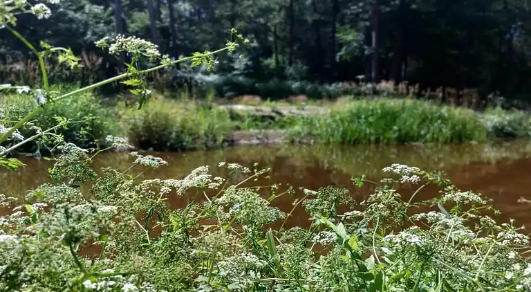 Holiday home in Haaksbergen