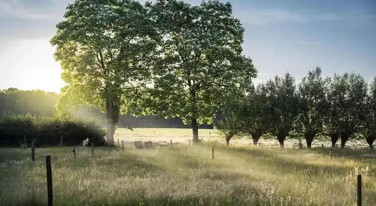 Lägenhet i Haaksbergen