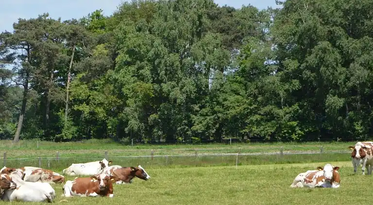 Lägenhet i Haaksbergen