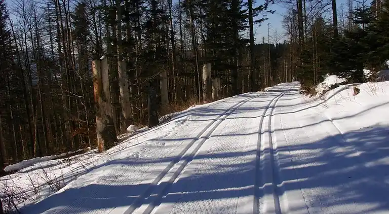 Sommerhus i Špičák