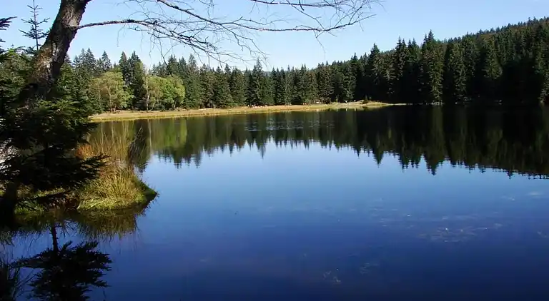 Sommerhus i Špičák