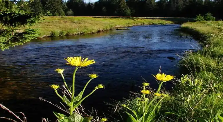 Sommerhus i Špičák
