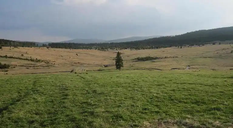 Sommerhus i Špičák