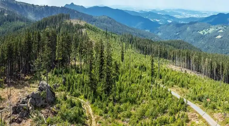 Sommerhus i Špičák