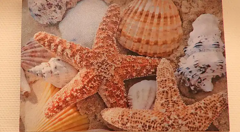 Ferielejlighed i Wendelstorf