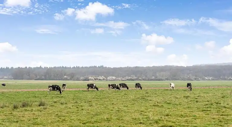 Holiday home in Pondrôme