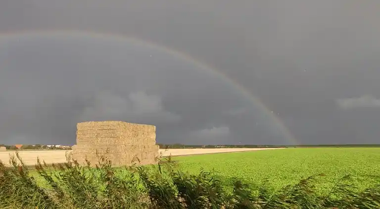 Casa vacanze in De Cocksdorp