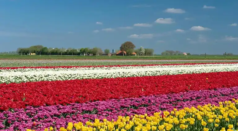 Vakantiehuis in Bant