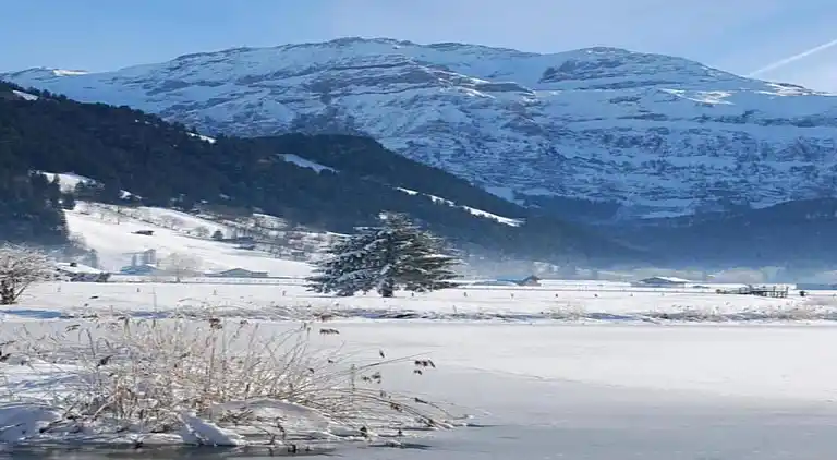 Ferielejlighed i Lenk im Simmental