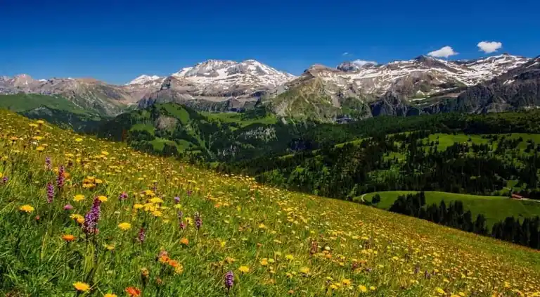 Ferielejlighed i Lenk im Simmental