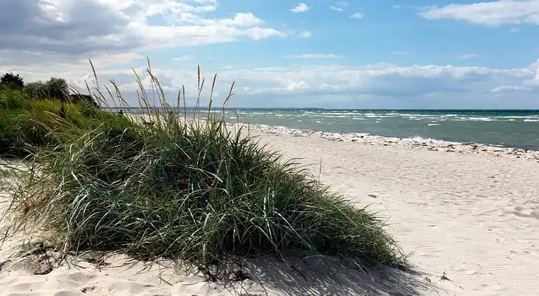 Ferielejlighed i Kühlungsborn