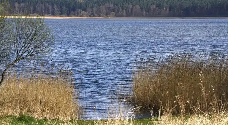 Bungalow in Nakenstorf