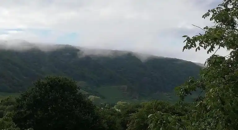 Apartment in Neumagen-Dhron