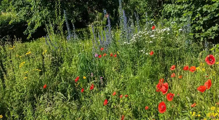 Holiday home in Netze