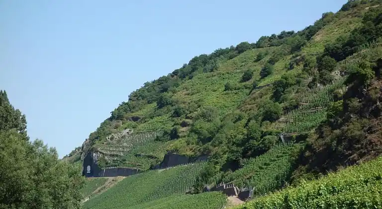 Holiday home in Netze