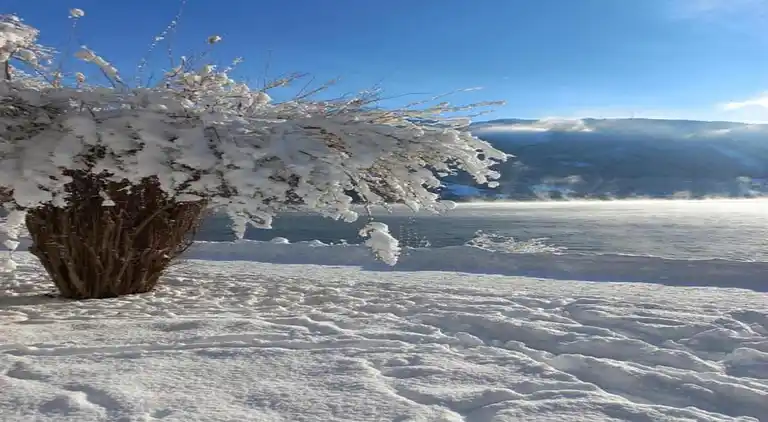 Ferielejlighed i Zell