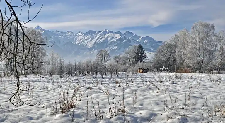 Ferielejlighed i Zell