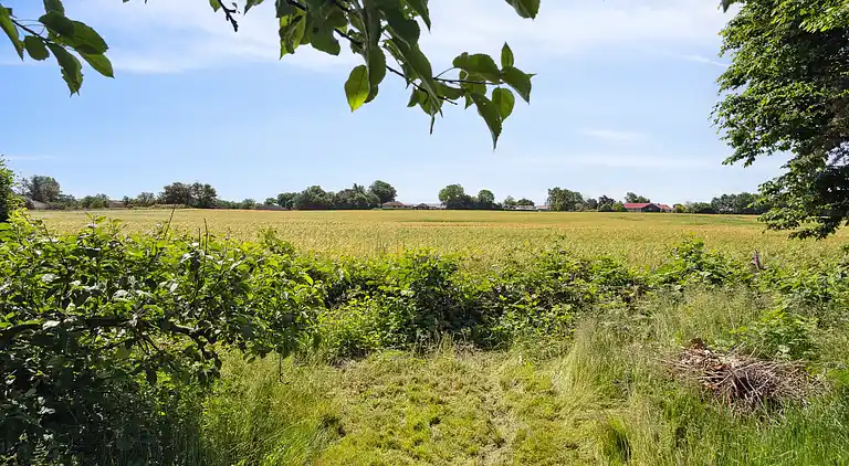Mysigt landhus nära strand och sjö