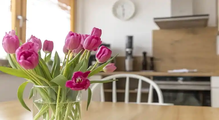 Ferienhaus in Burgrain