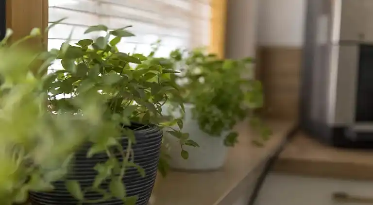 Ferienhaus in Burgrain