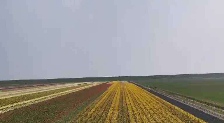 Feriebolig i De Koog