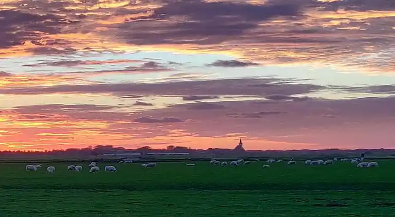 Feriebolig i De Koog