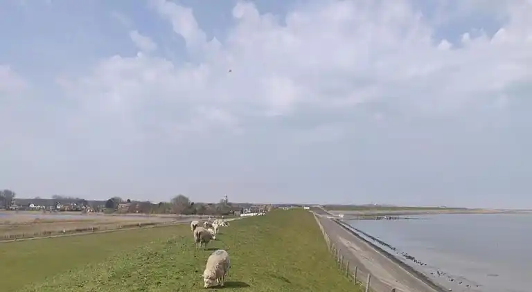 Feriebolig i De Koog